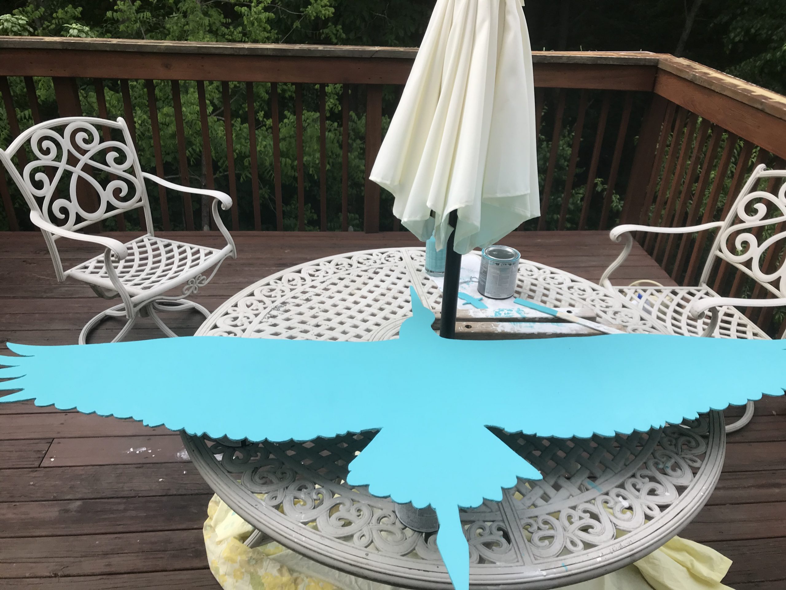 “Measure Your Wingspan” Pure Hope Foundation Nature Trails